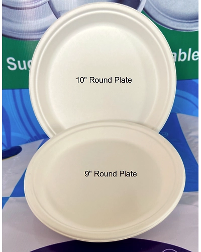 9 &amp; 10 Inc Round Plates-12676241