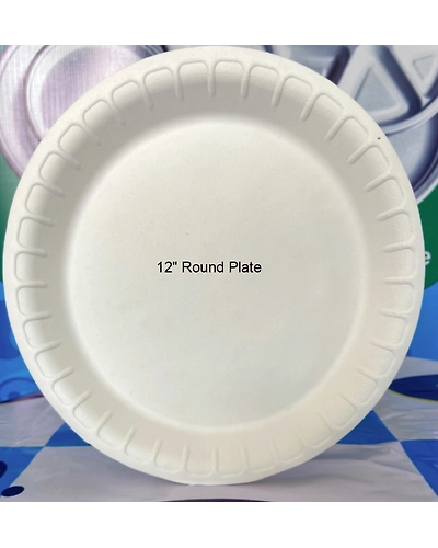 12 INC ROUND PLATE-2