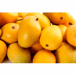 ratnagiri mangoes