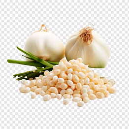 garlic fresh or frozen