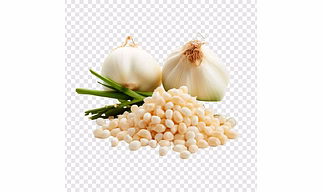 Garlic fresh or frozen