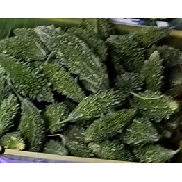 bitter gourd