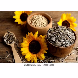 sunflower seeds