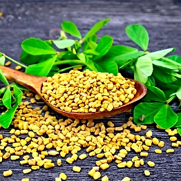 Fenugreek seeds