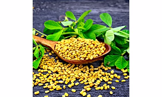 Fenugreek seeds