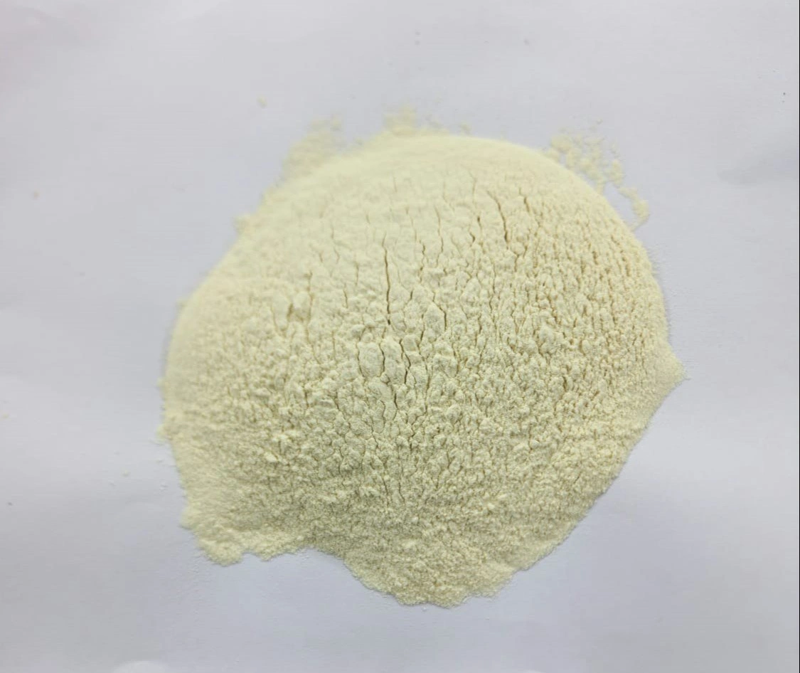 Onion Powder (A- Grade, Export Quality)-12590446