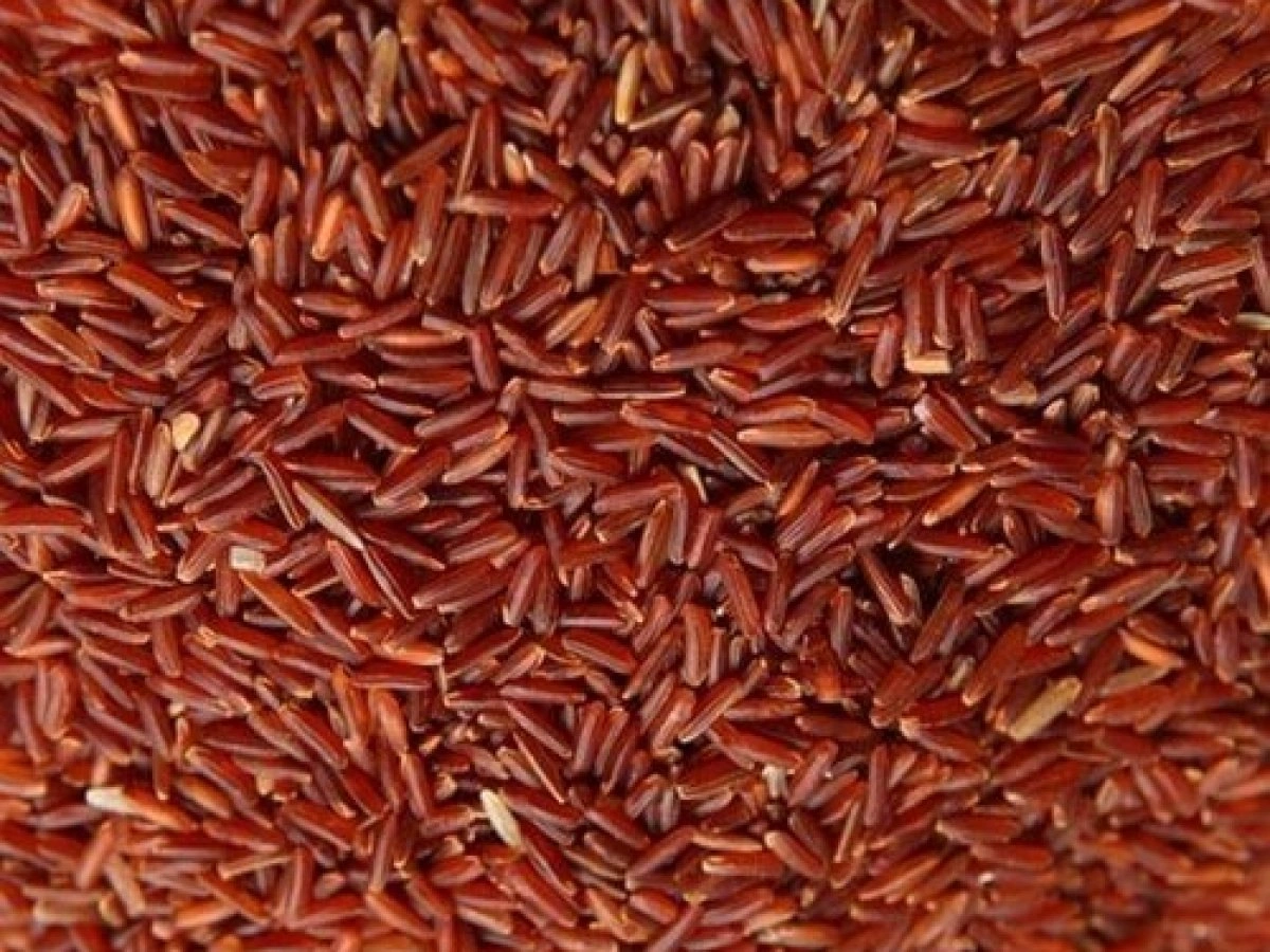 Organic Red Rice-2