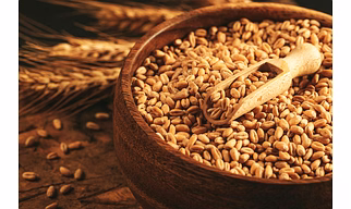 Wheat