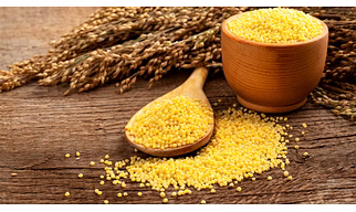 Millet