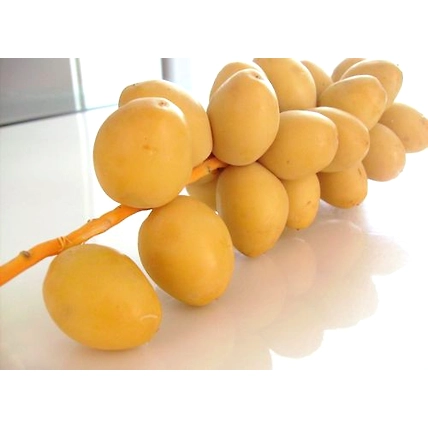 fresh Kharek Dates-12518739