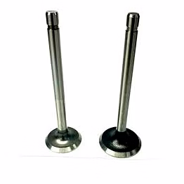 valve exhaust 211119s