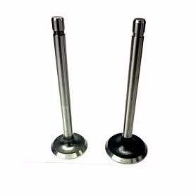 VALVE EXHAUST 211119S