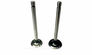 VALVE EXHAUST 211119S