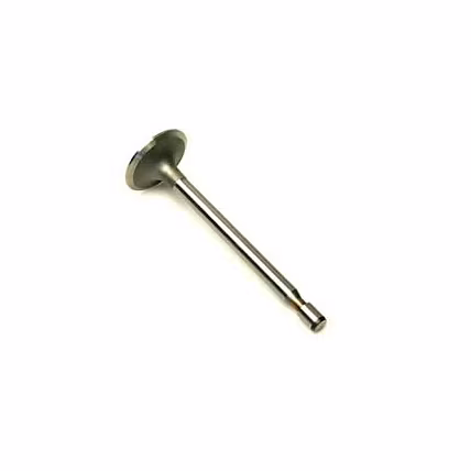 VALVE EXHAUST 211119S-1