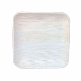 geo natural areca palm leaf plates 10 square