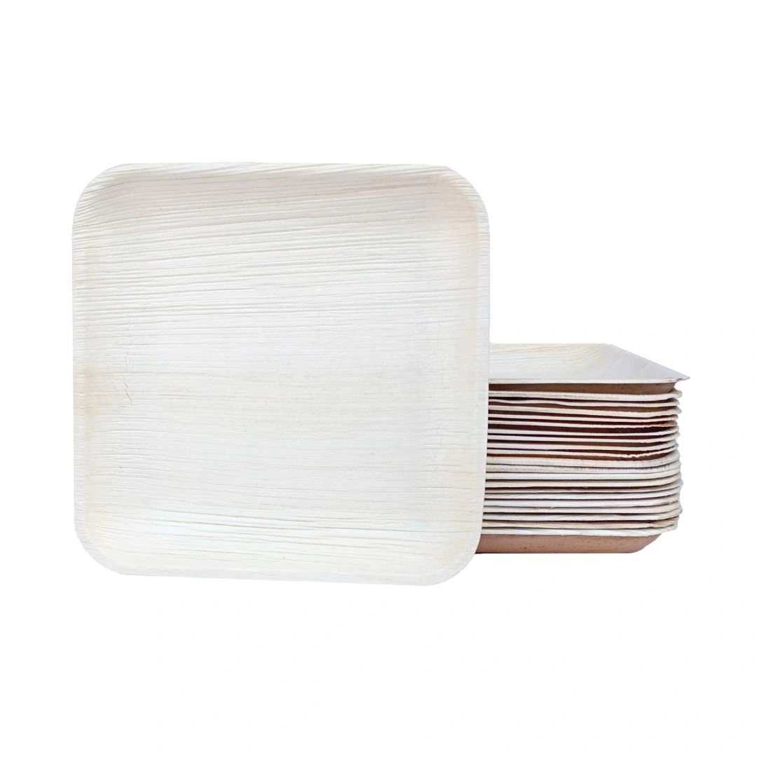 ARECA PALM LEAF PLATES 10 SQUARE-6