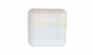 ARECA PALM LEAF PLATES 10 SQUARE