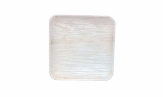 DISPOSABLE ARECA PALM LEAF PLATES 8 INCH SQUARE PLATES SET F 25 PIECES