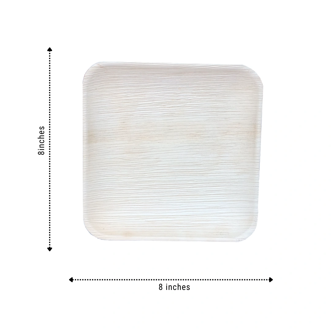 DISPOSABLE ARECA PALM LEAF PLATES 8 INCH SQUARE PLATES SET F 25 PIECES-2