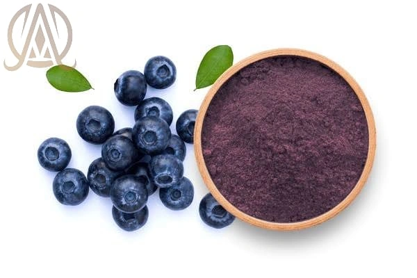 Spray Dried Blue Berry Powder-1