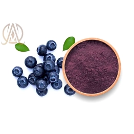 Spray Dried Blue Berry Powder