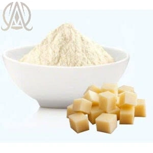 Spray Dried Cheese Powder-3