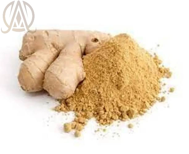 Spray Dried Ginger Powder-2