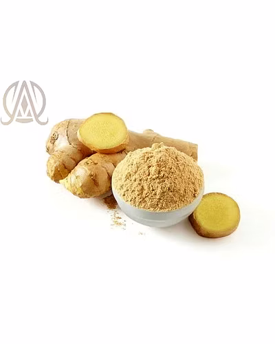 Spray Dried Ginger Powder-1