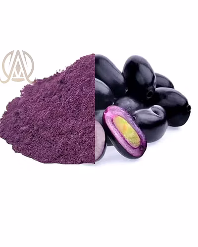 Spray Dried Jamun Powder-3