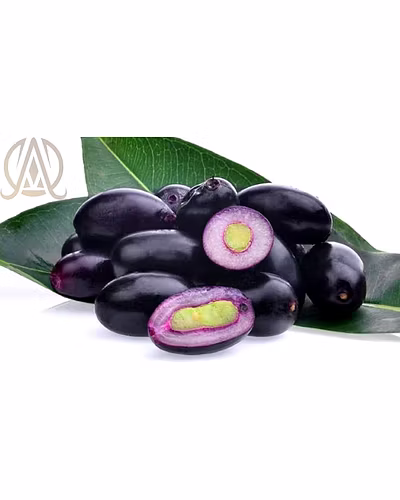 Spray Dried Jamun Powder-2