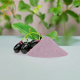 spray dried jamun powder