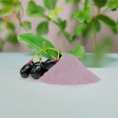 spray dried jamun powder