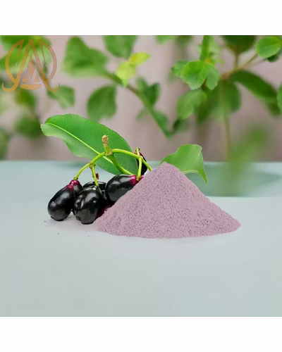 Spray Dried Jamun Powder-1