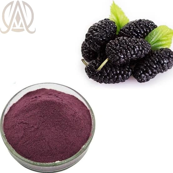 Spray Dried Mulberry Powder-2