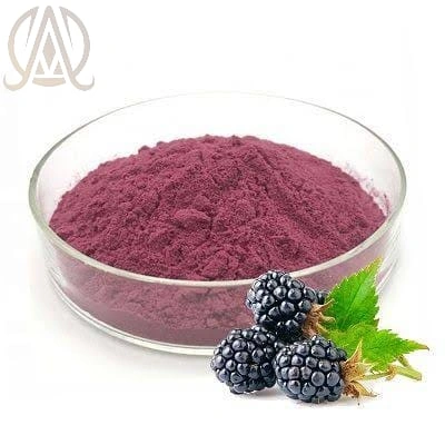 Spray Dried Mulberry Powder-1