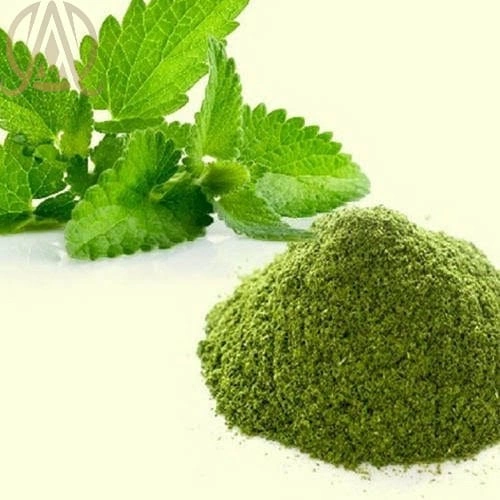 Spray Dried Mint Powder-2