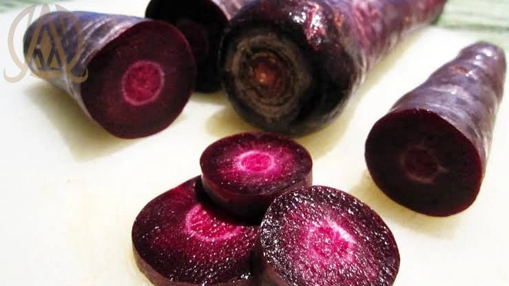 Spray Dried Purple Carrot Powder-3