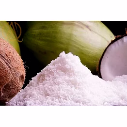 aum food spray dried tender coconut powder