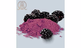 Spray Dried Mulberry Powder