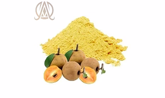 Spray Dried  Sapodilla Powder