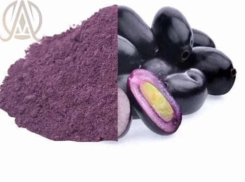 Spray Dried Jamun Powder-12547242