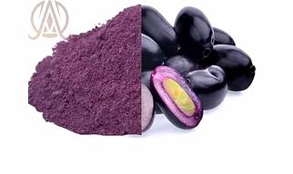 Spray Dried Jamun Powder