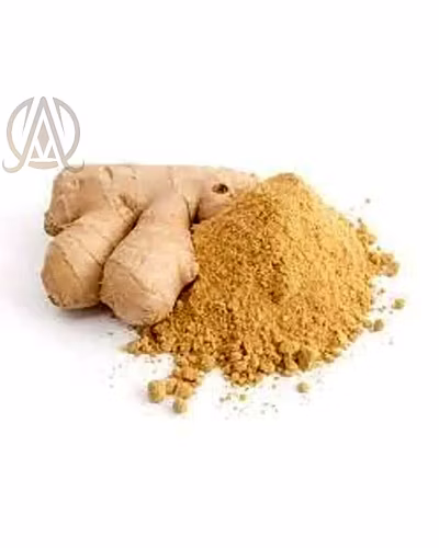 Spray Dried Ginger Powder-12547200