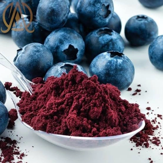 Spray Dried Blue Berry Powder-12545976