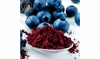 Spray Dried Blue Berry Powder