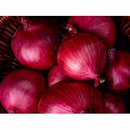 onion