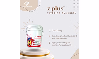 Z PLUS EXTERIOR EMULSION