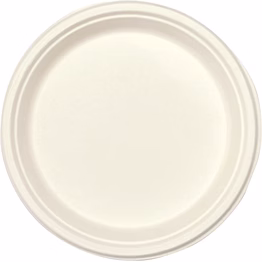 biodegradable bagasse paper product