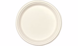 Biodegradable bagasse paper product