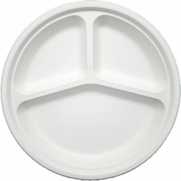 biodegradable bagasse paper product